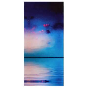 4Pcs/set Dolphin Sunset Sea Wall Decorative Paintings Canvas Print Art Pictures Frameless Wall Hangi