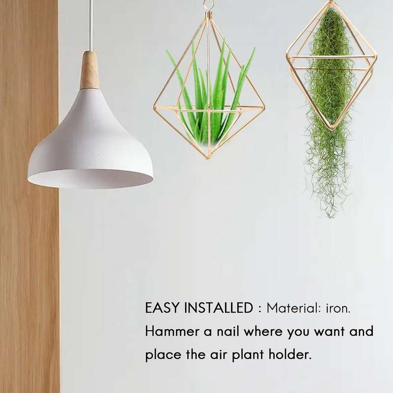 5 Packs Air Plant Holder Mini Metal Tabletop Himmeli Decor Modern Geometric Planter Tillandsia Air