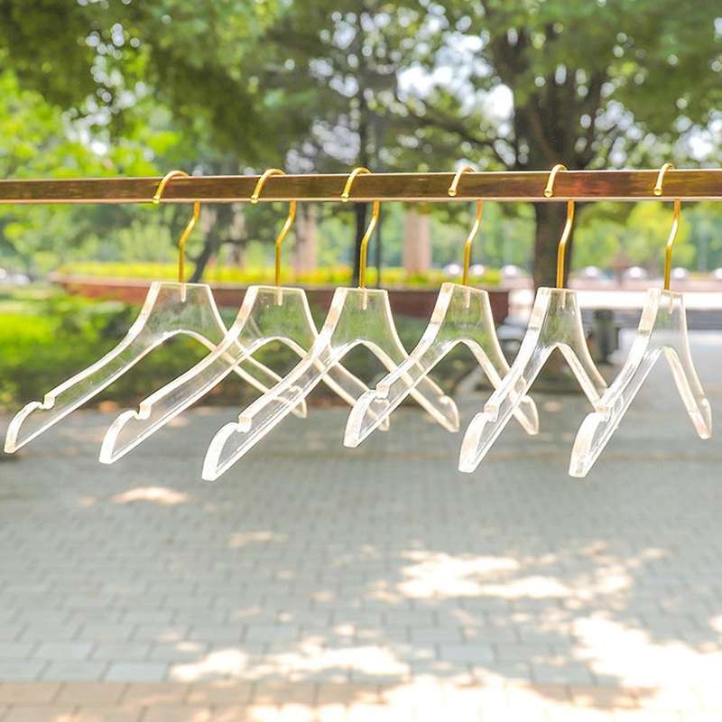 5 Pcs Clear Clothes Hangers with , Transparent Shirts Dress Coat Hanger with Notches for Lady Kids S