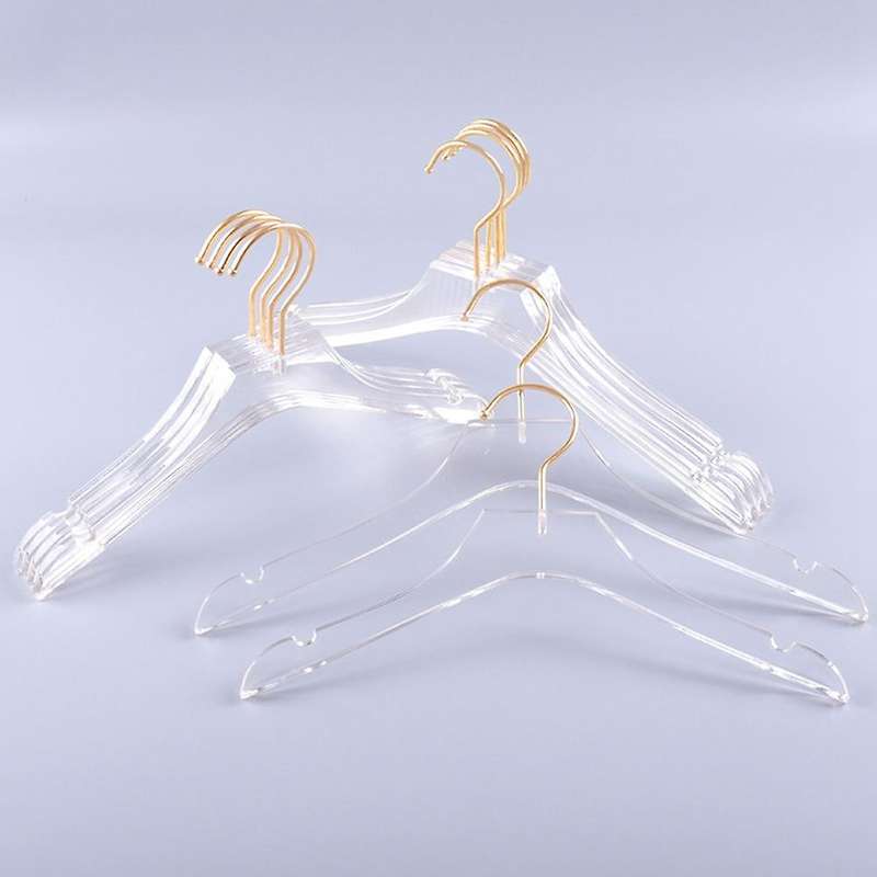 5 Pcs Clear Clothes Hangers with , Transparent Shirts Dress Coat Hanger with Notches for Lady Kids S