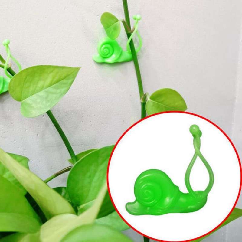 50 Pcs Snail Shape Plant Climbing Wall Fixture Clips Invisible Vines Fixing Clips Traction Decoratio