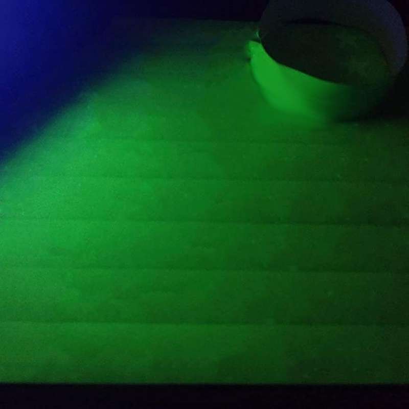 500 Pcs Paper Event Colored Waterproof Paper Arm Bands (white)