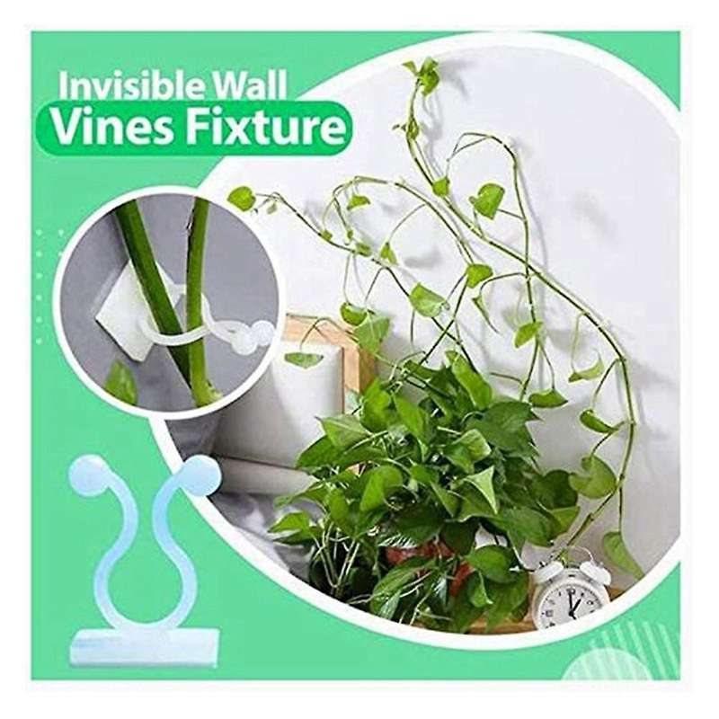 50pcs Invisible Wall Vines Fixture , Plant Climbing Wall Fixture Clips, Garden Wall Sticky Hook Mid