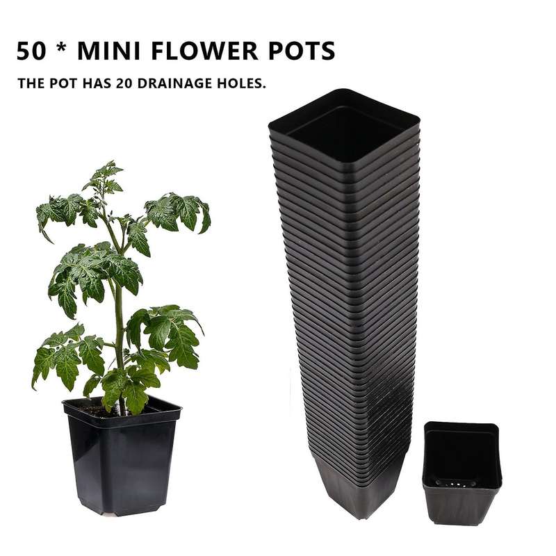 50pcs Mini Plastic Flower Pots for Plant Nursery 7cm X 7cm - Black