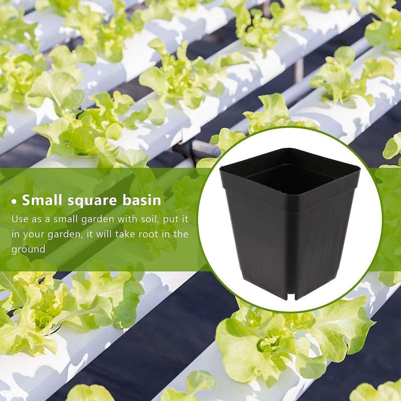 50pcs Mini Plastic Flower Pots for Plant Nursery 7cm X 7cm - Black
