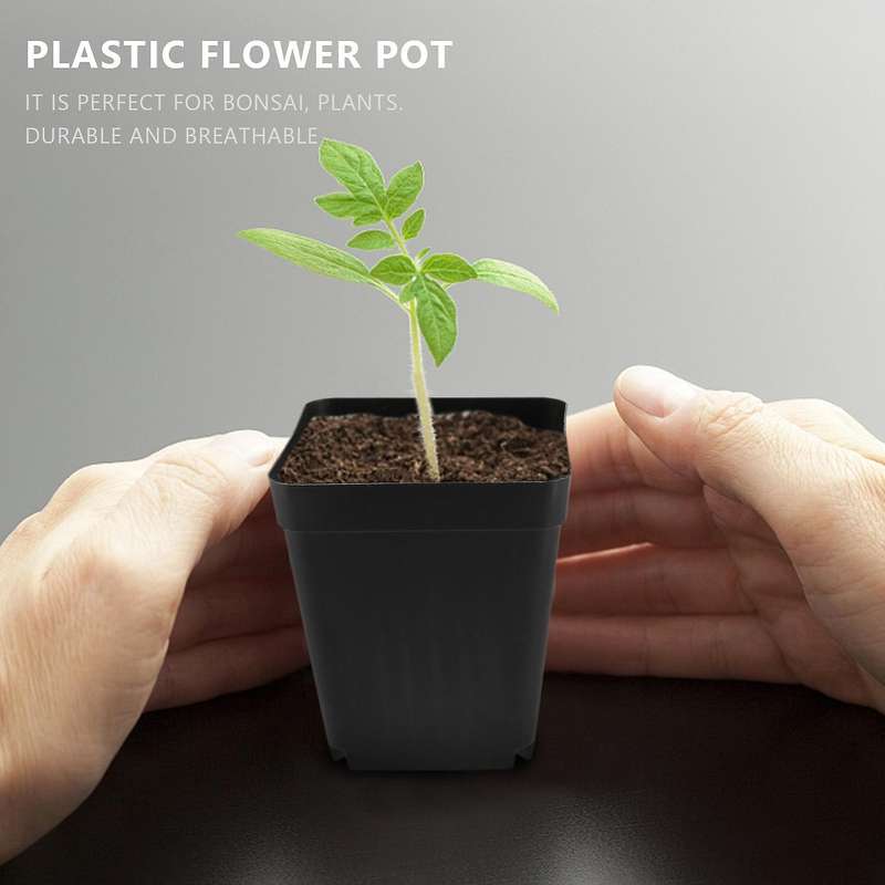 50pcs Mini Plastic Flower Pots for Plant Nursery 7cm X 7cm - Black
