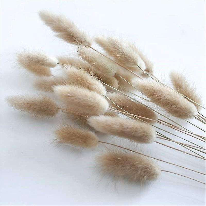50pcs Natural Raw Color Dried Flowers Real Flower Bouquet for Home Wedding Decoration Rabbit Tail G