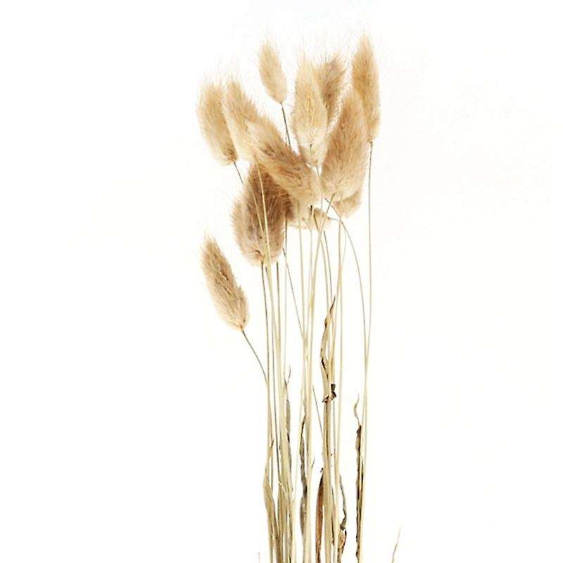 50pcs Natural Raw Color Dried Flowers Real Flower Bouquet for Home Wedding Decoration Rabbit Tail G