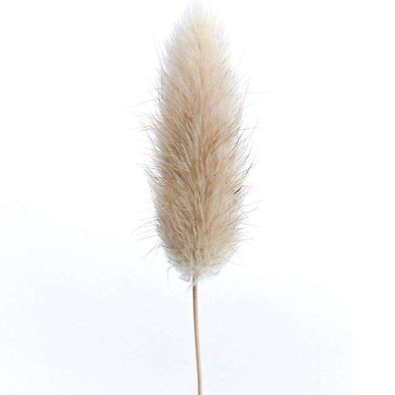 50pcs Natural Raw Color Dried Flowers Real Flower Bouquet for Home Wedding Decoration Rabbit Tail G
