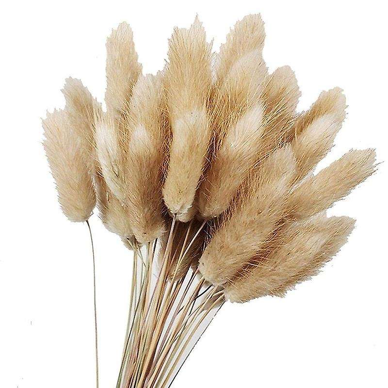50pcs Natural Raw Color Dried Flowers Real Flower Bouquet for Home Wedding Decoration Rabbit Tail G