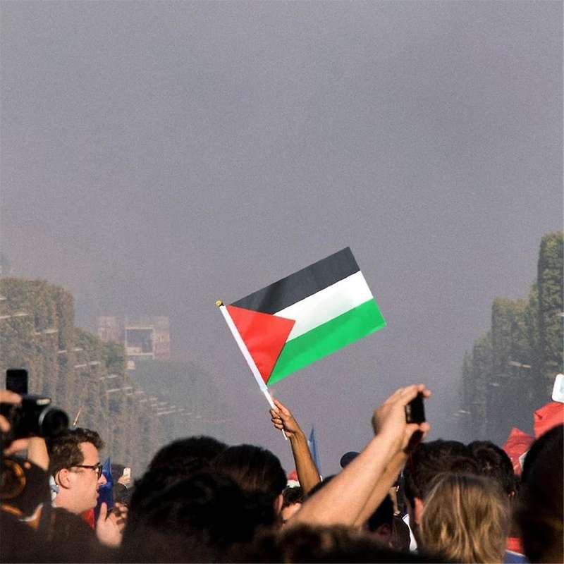 50pcs Palestine Flag Small with Pole, 14x21cm Palestine Hand Waving Flag - Double Sided Fine Handhe