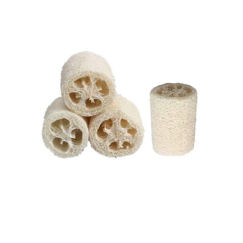 50pcsnatural Loofah Exfoliating Body Shower Loofah Sponge,premium Exfoliating Biodegradable Loofah