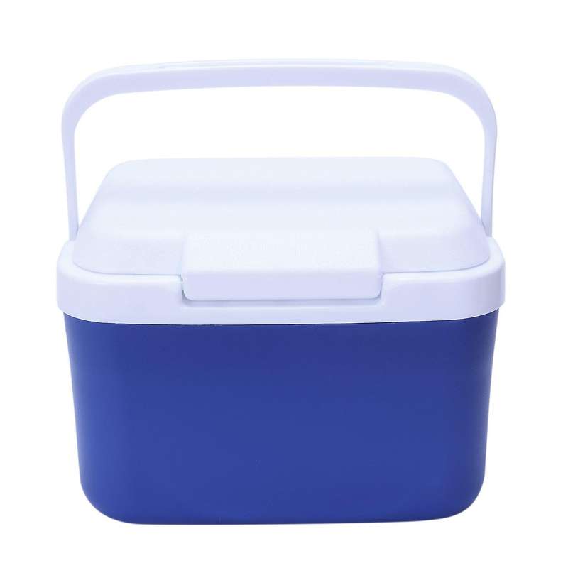 5L Car Insulation Box Outdoor Car Cooler Box Ice Organizer Medicine Preservation Box Home Barbecue F