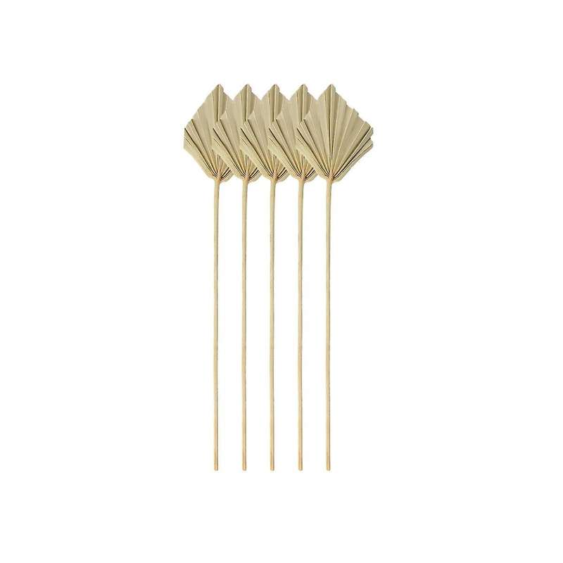 5pcs Boho Dried Palm Spears Small Natural Dried Palm Fans Leaves Decor