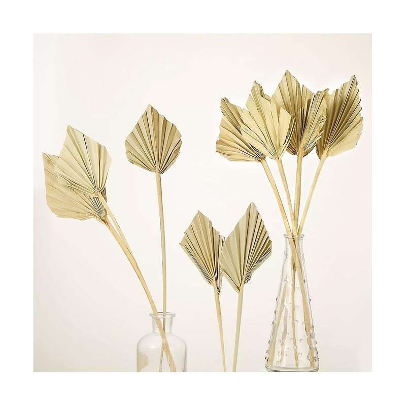 5pcs Boho Dried Palm Spears Small Natural Dried Palm Fans Leaves Decor