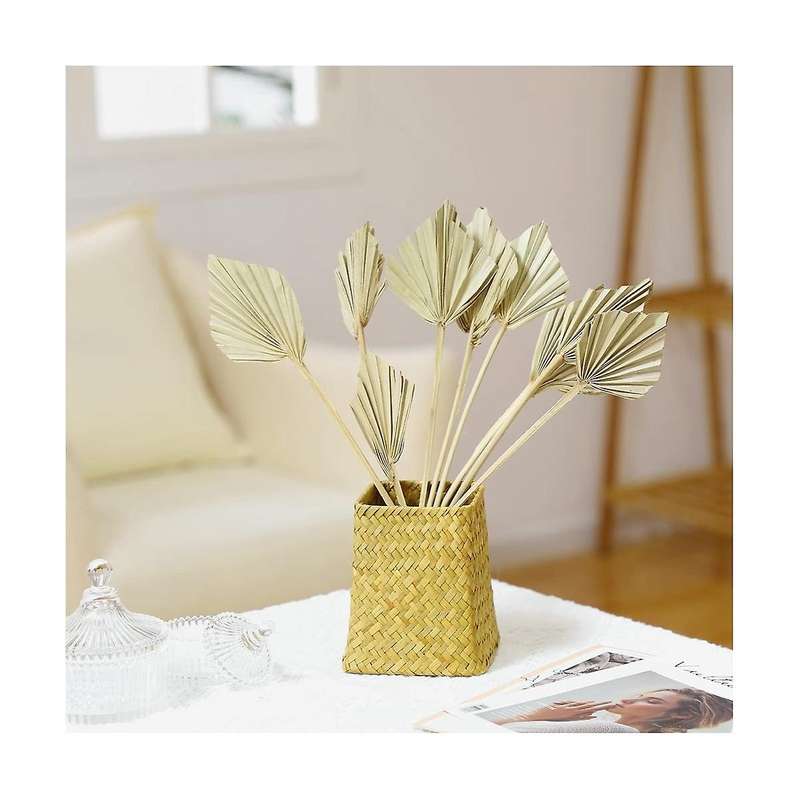 5pcs Boho Dried Palm Spears Small Natural Dried Palm Fans Leaves Decor
