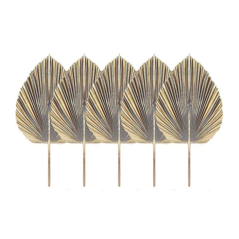 5Pcs Natural Dried Palm Leaves Tropical Dried Palm Fans Boho Dry Leaves Decor Kitchen Wedding