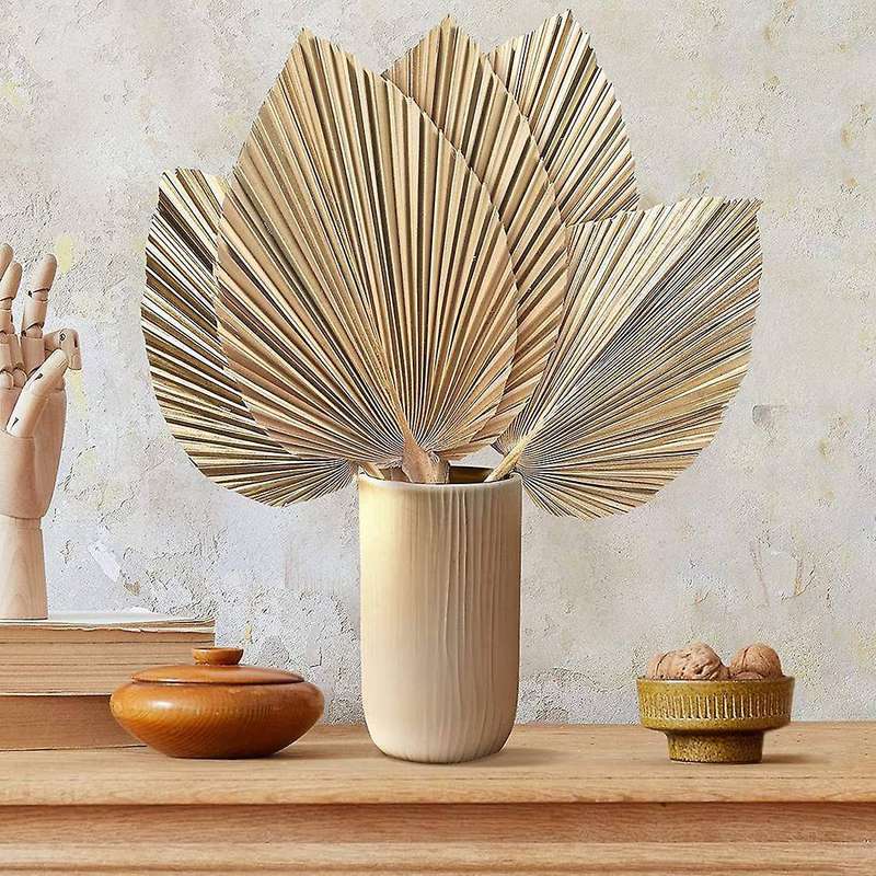 5Pcs Natural Dried Palm Leaves Tropical Dried Palm Fans Boho Dry Leaves Decor Kitchen Wedding