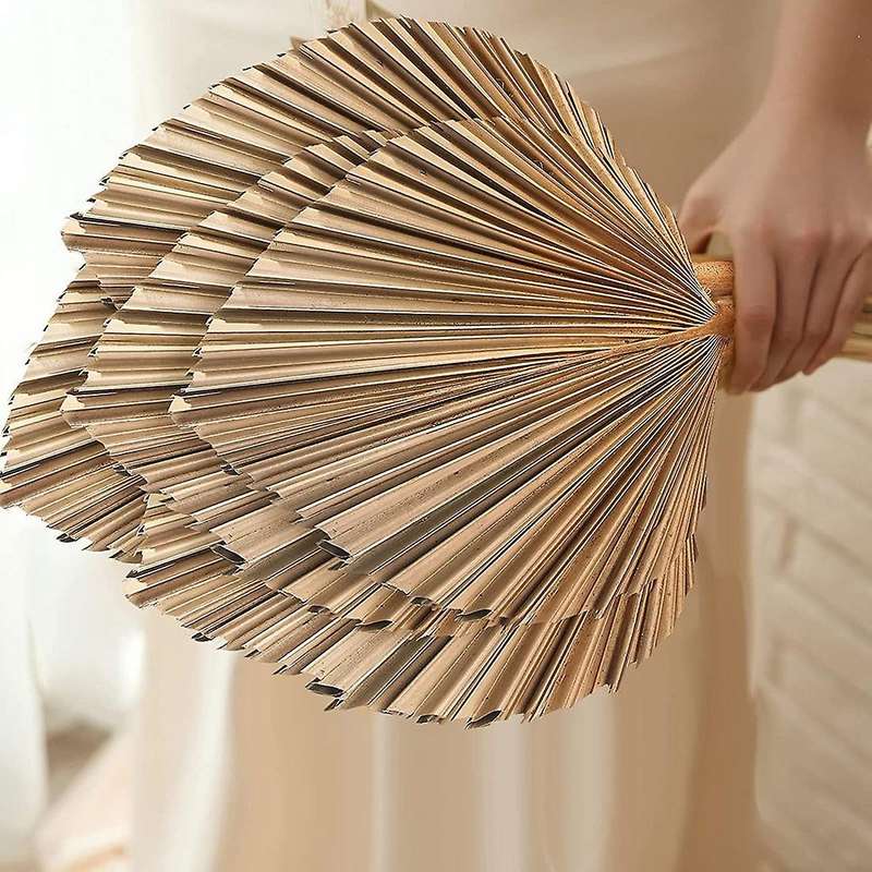 5Pcs Natural Dried Palm Leaves Tropical Dried Palm Fans Boho Dry Leaves Decor Kitchen Wedding