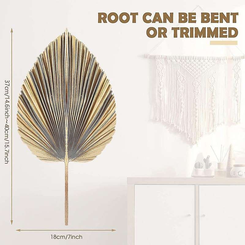 5Pcs Natural Dried Palm Leaves Tropical Dried Palm Fans Boho Dry Leaves Decor Kitchen Wedding