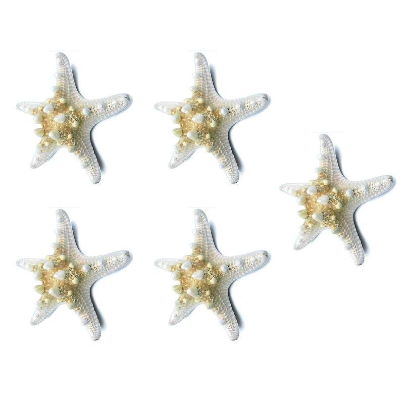 5pcs/lots Crafts White Bread Sea Shell , Decorative Handicrafts