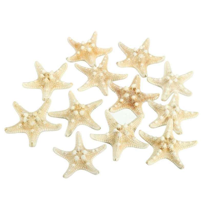 5Pcs/lots crafts white bread sea shell starfish, decorative handicrafts
