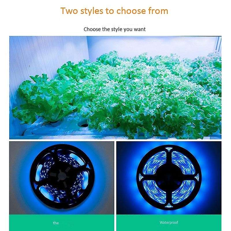5V 2M Plant Grow Lamp Led Full Spectrum Growth Light Bulbs Seedling Flower Phyto Lamp for Indoor Hyd
