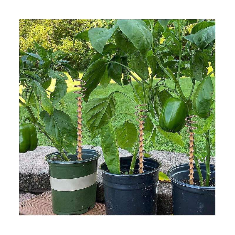6 Pack Electroculture Gardening Copper Coil Antennas for Growing Garden Plants Vegetables with Elect
