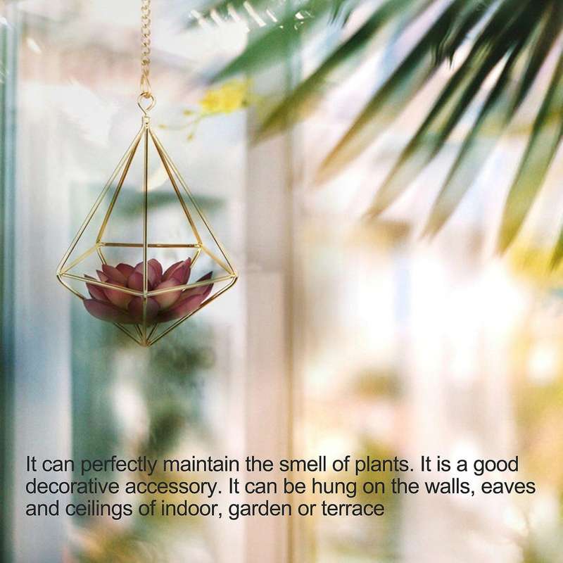 6 Pcs Nordic Style Hanging Tillandsia Air Plant Rack Wall Hanging Geometric Metal Tillandsia Air Pl