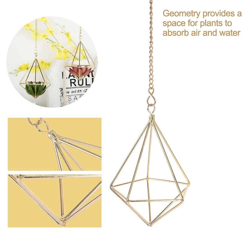 6 Pcs Nordic Style Hanging Tillandsia Air Plant Rack Wall Hanging Geometric Metal Tillandsia Air Pl