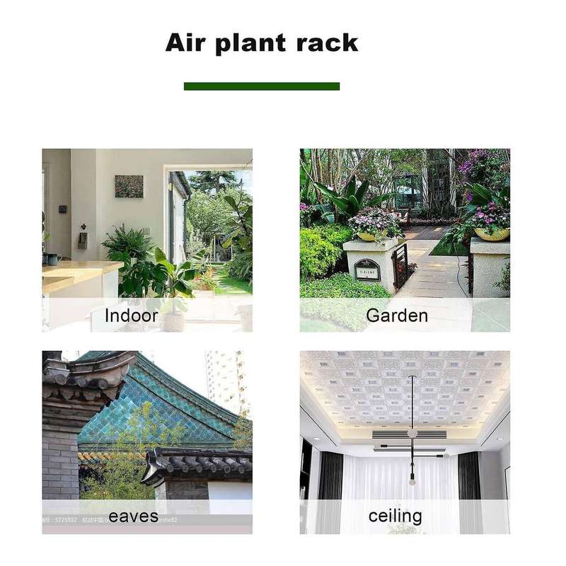 6 Pcs Nordic Style Hanging Tillandsia Air Plant Rack Wall Hanging Geometric Metal Tillandsia Air Pl