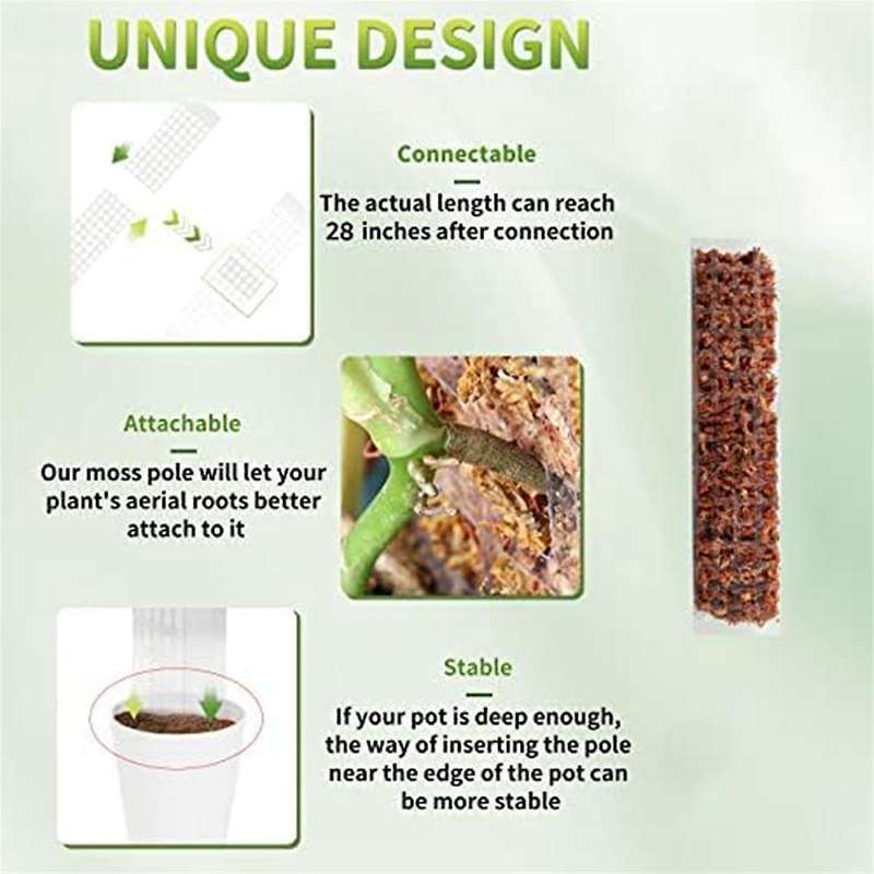 6 Pcs Plastic Moss Pole for Plants Monstera, Plant Poles for Climbing Plants, Plant Support for Indo