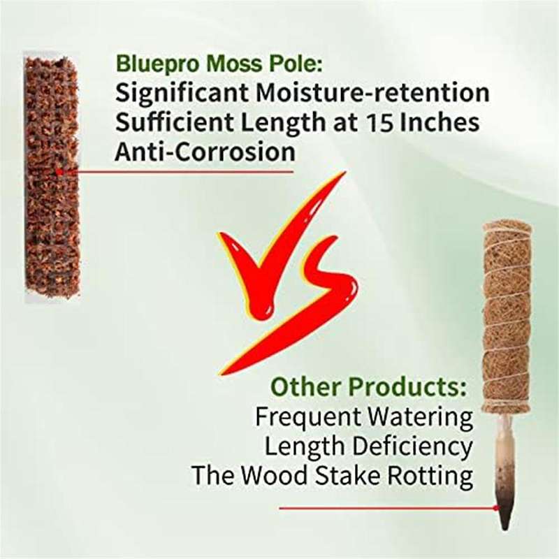 6 Pcs Plastic Moss Pole for Plants Monstera, Plant Poles for Climbing Plants, Plant Support for Indo