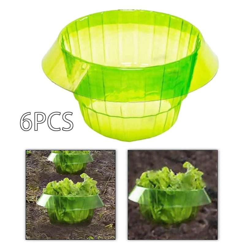 6 Pieces Plants Snail Plant Protection Collars for Landscape Project Versatile,Vegetable Green Plant