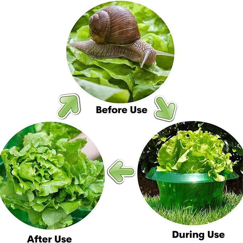 6 Pieces Plants Snail Plant Protection Collars for Landscape Project Versatile,Vegetable Green Plant