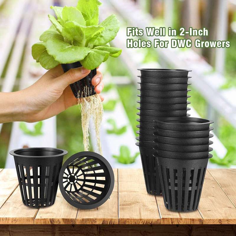 60 Pack 2 Inch Slotted Mesh Wide Lip Plant Net Basket Compatible Hydroponics