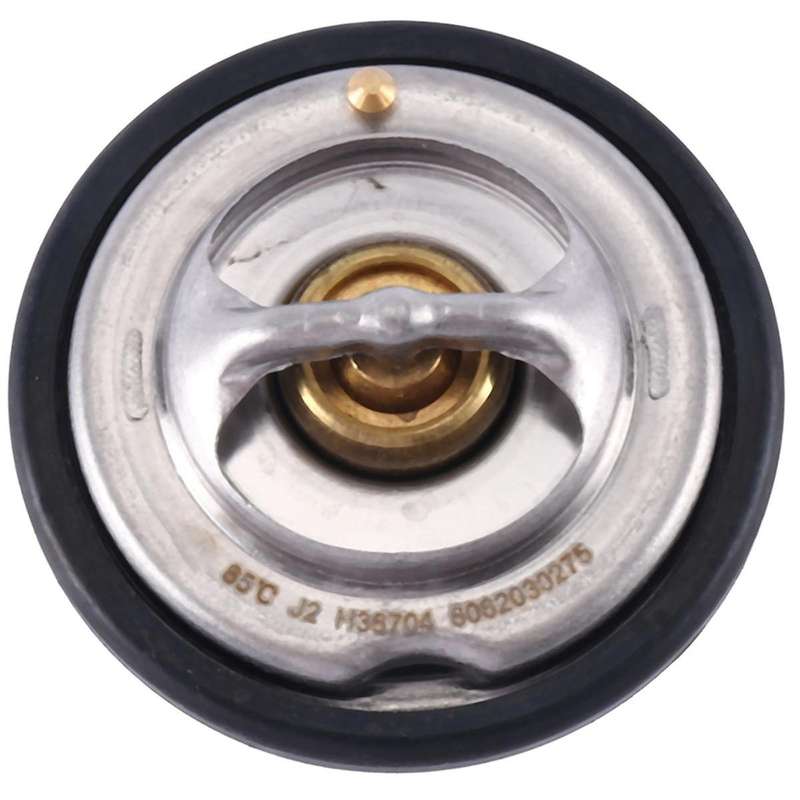 6012030076 Car Thermostat Sealing Ring for Actyon Rodius 2.0t 2.7t 6062030275
