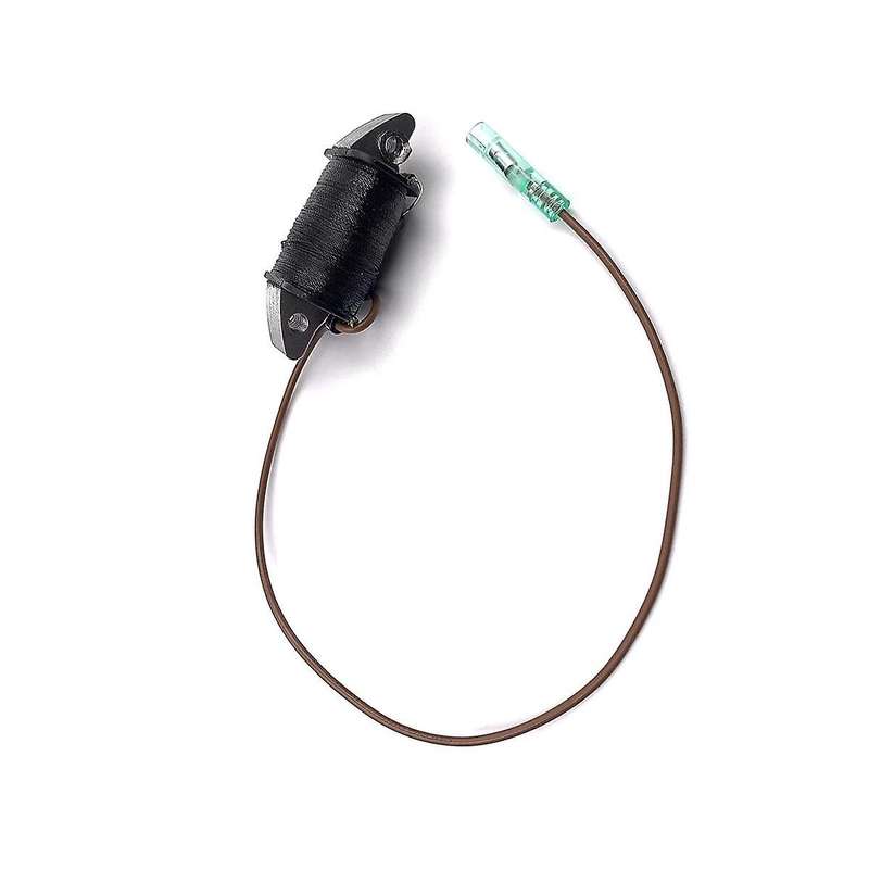 6h3-85520-00 Charge Coil for Outboard 2 Stroke 50hp 60hp 70hp for 2t Parsun Seatec Outboard Motor