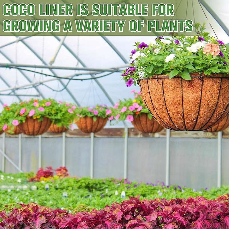 6PCS 10 Inch Natural Coconut Liner Round Coconut Hanging Basket Replacement Liners for Hanging Baske
