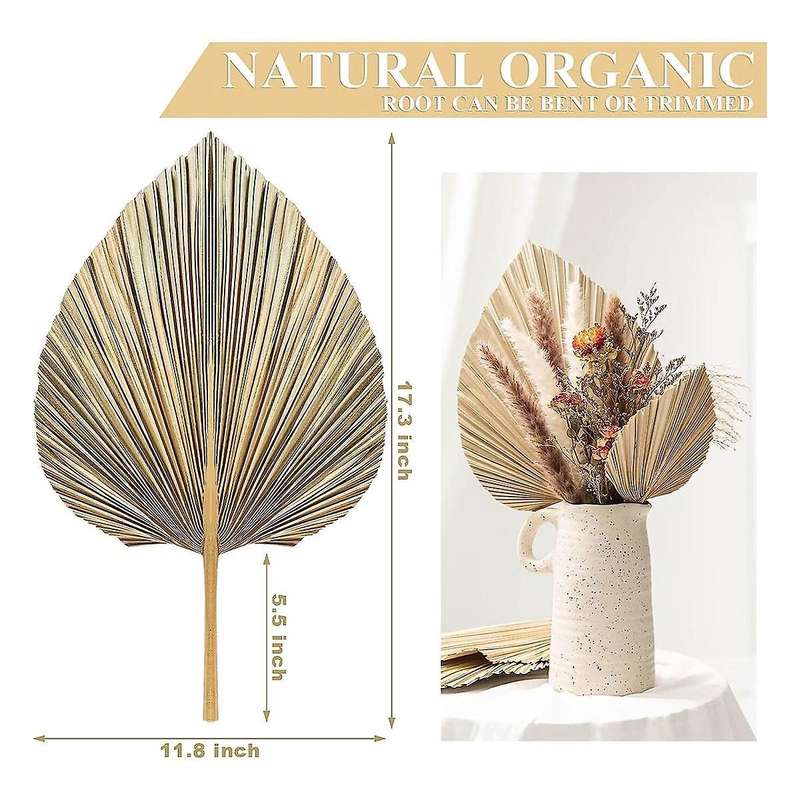 6pcs Natural Tropical Dried Palm Leaves Decoration,boho Trimmed Palm Leaves for Weddings Wall Bedroo