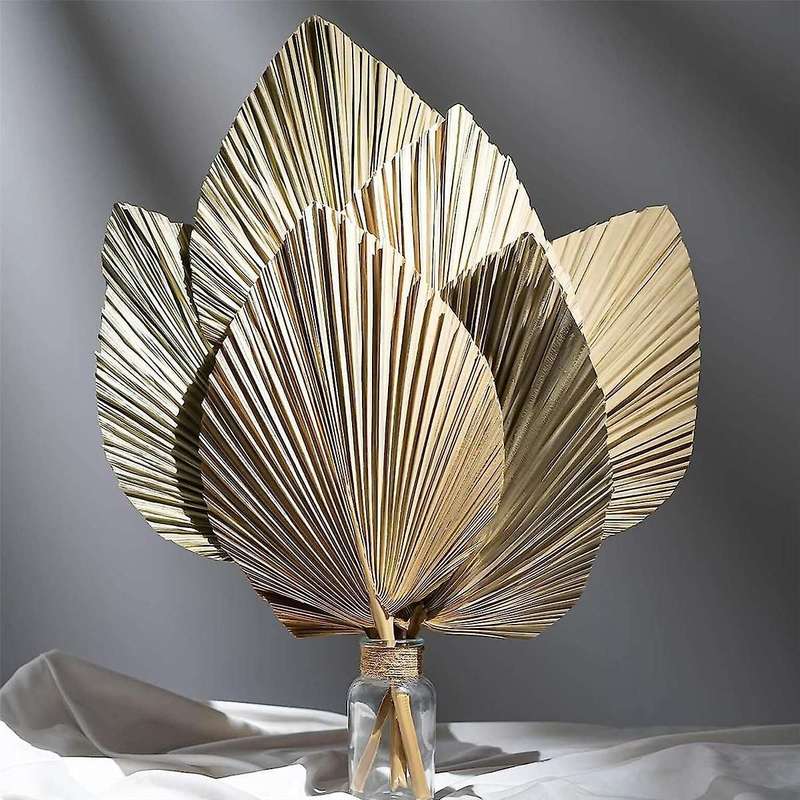 6pcs Natural Tropical Dried Palm Leaves Decoration,boho Trimmed Palm Leaves for Weddings Wall Bedroo