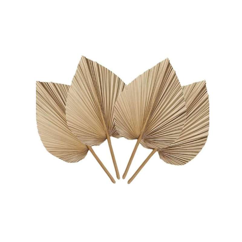 6pcs Natural Tropical Dried Palm Leaves Decoration,boho Trimmed Palm Leaves for Weddings Wall Bedroo