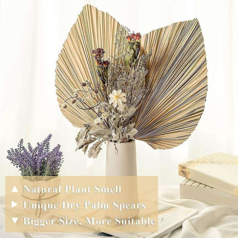 6pcs Natural Tropical Dried Palm Leaves Decoration,boho Trimmed Palm Leaves for Weddings Wall Bedroo