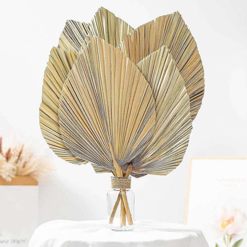 6pcs Natural Tropical Dried Palm Leaves Decoration,boho Trimmed Palm Leaves for Weddings Wall Bedroo