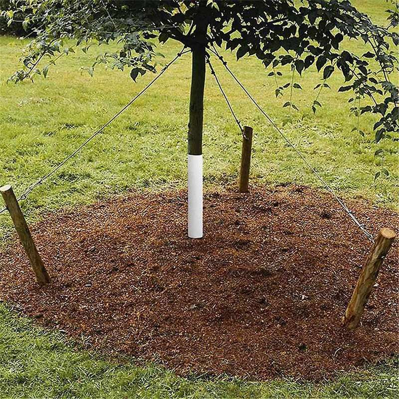 6pcs Tree Trunk Protector,plastic Spiral Tree Guard,tree Wrap to Protect Saplings Plants From Deer R