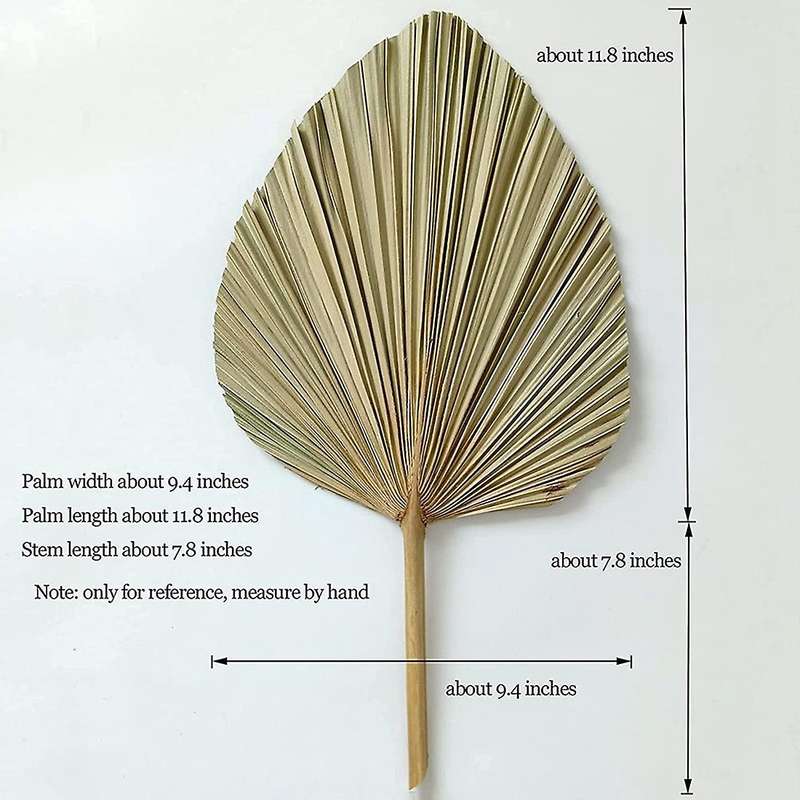 7 Pieces Dried Palm Leaves Natural Dried Fan Leaf Palm Fronds 10 Stems of Natural Dried Pampas Grass