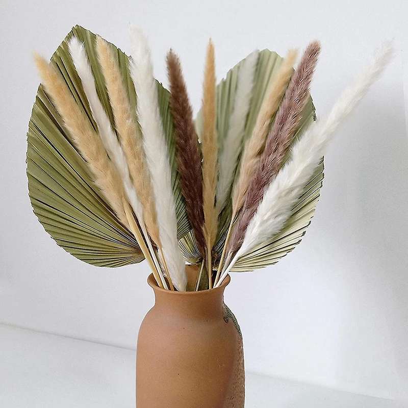 7 Pieces Dried Palm Leaves Natural Dried Fan Leaf Palm Fronds 10 Stems of Natural Dried Pampas Grass