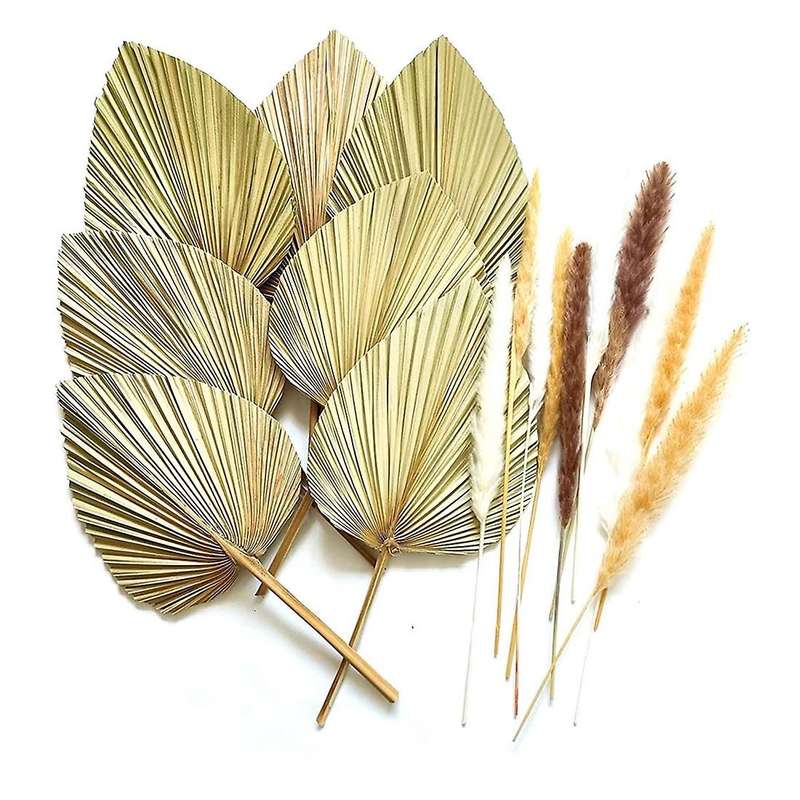 7 Pieces Dried Palm Leaves Natural Dried Fan Leaf Palm Fronds 10 Stems of Natural Dried Pampas Grass