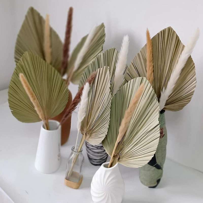 7 Pieces Dried Palm Leaves Natural Dried Fan Leaf Palm Fronds 10 Stems of Natural Dried Pampas Grass