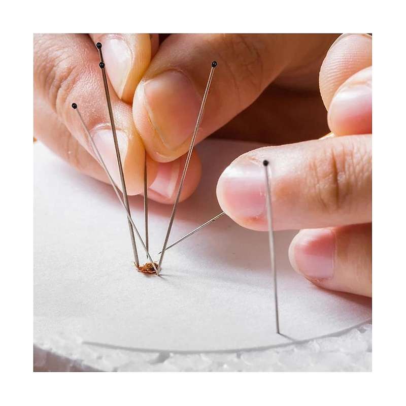 700pcs Specimen Insect Pins, Stainless Steel Insect Pins with Epoxy Resin Head Specimen Entomology